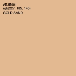 #E3B991 - Gold Sand Color Image